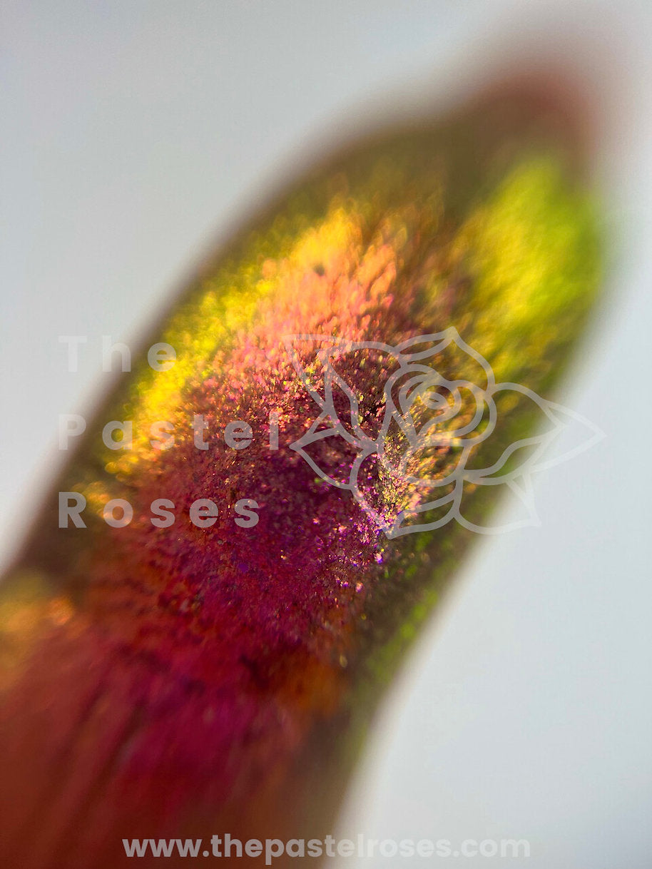 Autumn Rush - Multi-Chrome Pressed Eyeshadow